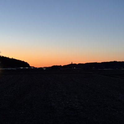 健康診断 - 株式会社入舟物流サービス - お知らせ